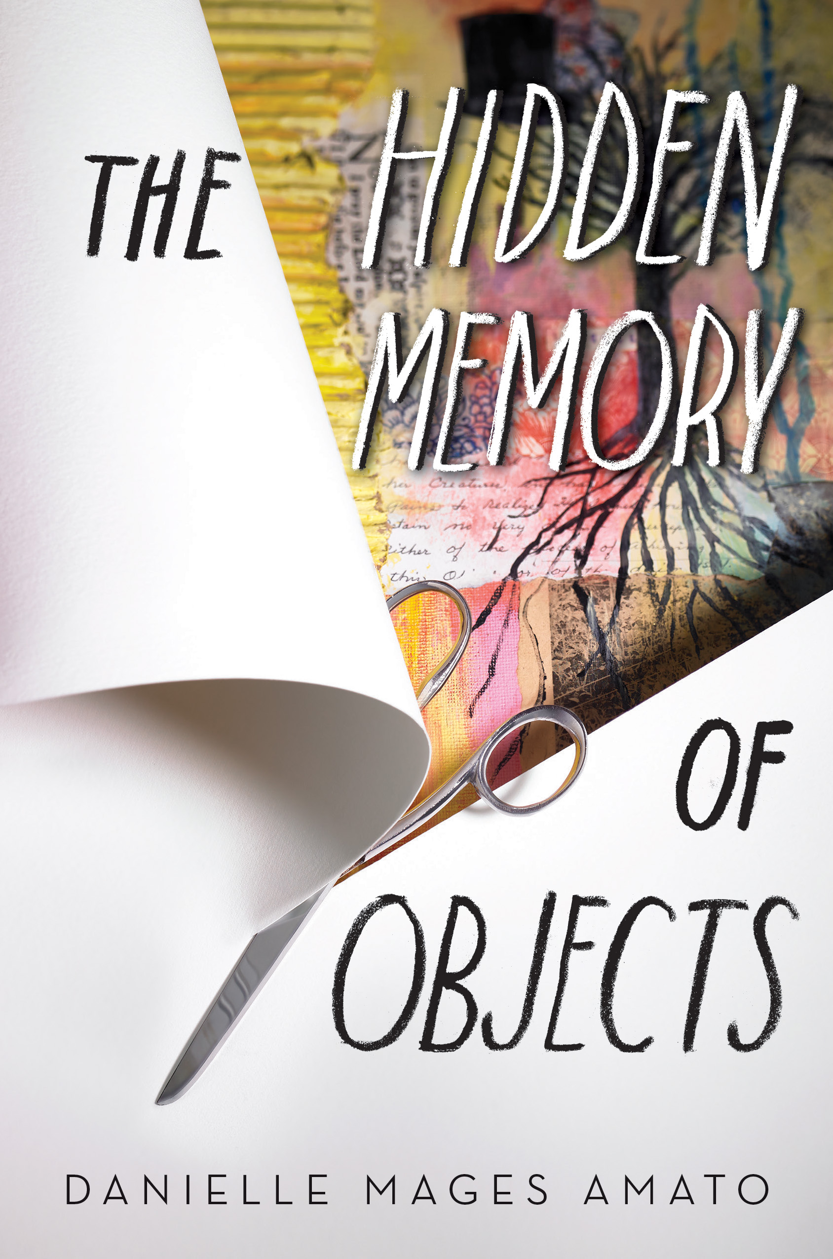 Image result for novel the hidden member of objects